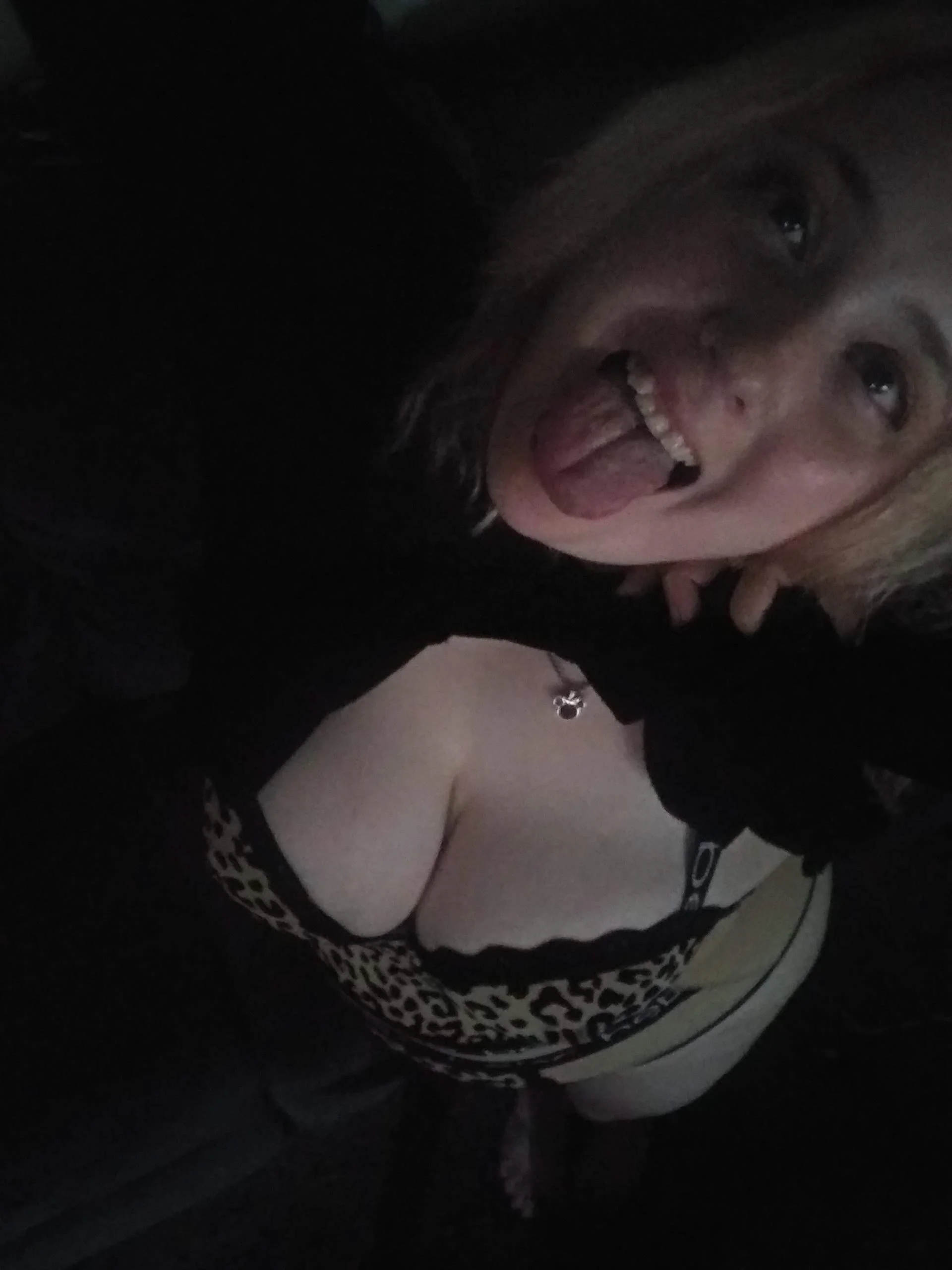 Pig in leopard print